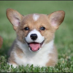 Meet your Posher, Jayda